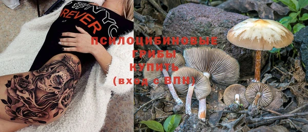 хмурый Волосово