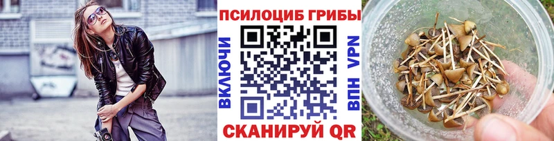 Галлюциногенные грибы мицелий  Тверь 